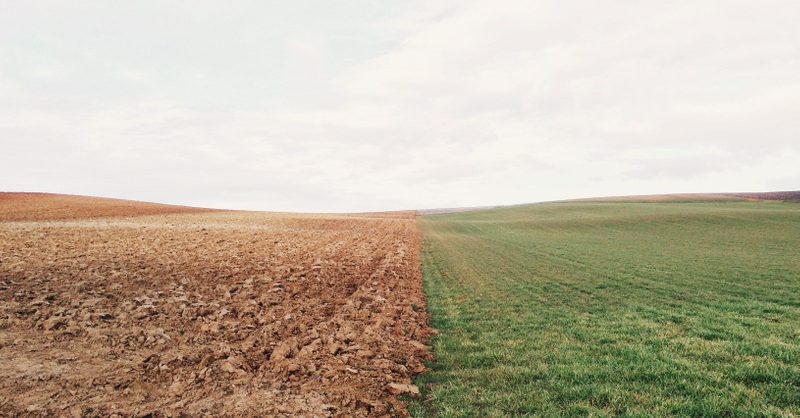 Prioritising rest, prioritising the planet - Vimarsana News